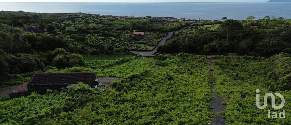 Terrain à Santa Luzia de 2 914 m²