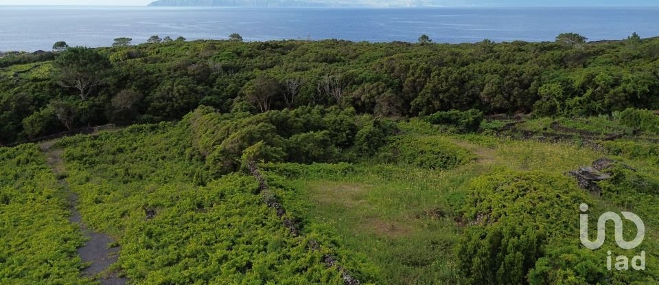 Terrain à Santa Luzia de 2 914 m²