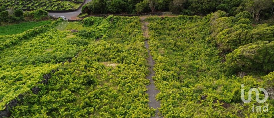 Terrain à Santa Luzia de 2 914 m²