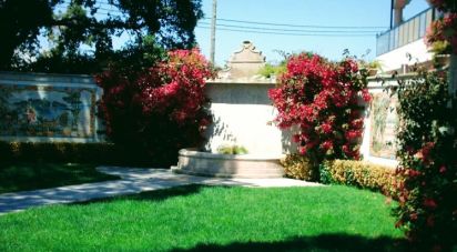 Hôtel 2* à Estela de 2 832 m²