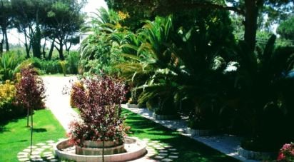 Hôtel 2* à Estela de 2 832 m²