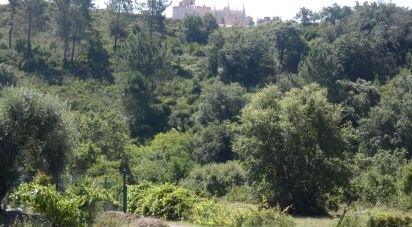 Terrain à bâtir à Tomar (São João Baptista) e Santa Maria dos Olivais de 9 545 m²