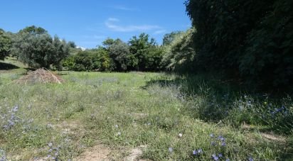 Terrain à bâtir à Tomar (São João Baptista) e Santa Maria dos Olivais de 9 545 m²