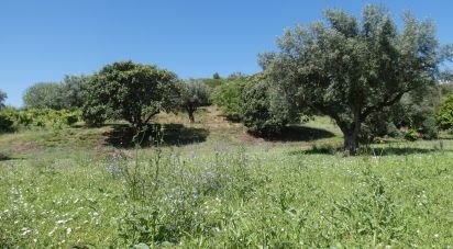 Terrain à bâtir à Tomar (São João Baptista) e Santa Maria dos Olivais de 9 545 m²