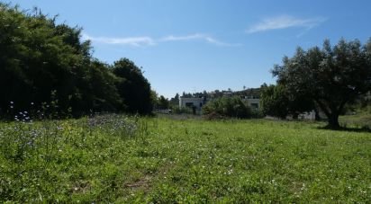 Terrain à bâtir à Tomar (São João Baptista) e Santa Maria dos Olivais de 9 545 m²