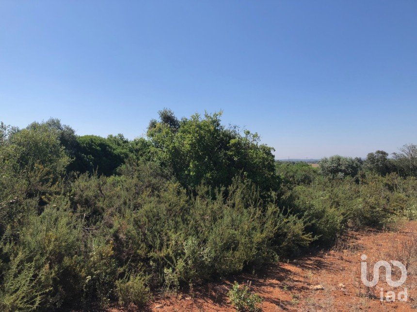 Land in Almoster of 30,000 m²