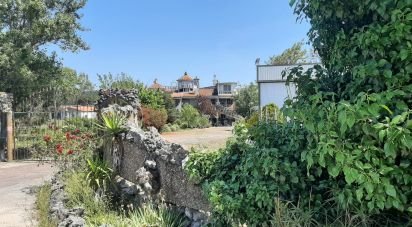 Ferme T11 à Abrigada e Cabanas de Torres de 1 720 m²