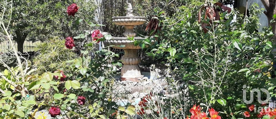 Farm T11 in Abrigada e Cabanas de Torres of 1,720 m²