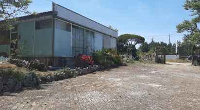 Ferme T11 à Abrigada e Cabanas de Torres de 1 720 m²