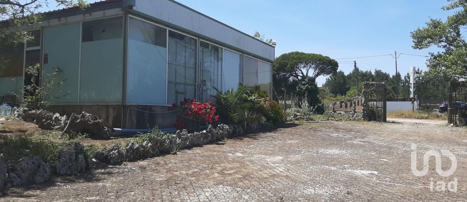 Farm T11 in Abrigada e Cabanas de Torres of 1,720 m²