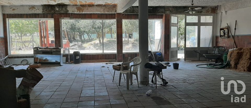 Farm T11 in Abrigada e Cabanas de Torres of 1,720 m²