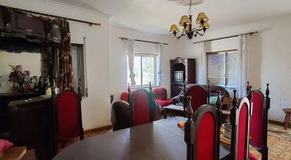 Gîte T7 à Ansião de 291 m²