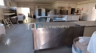 Boutique/Local commercial à Vilar Formoso de 252 m²