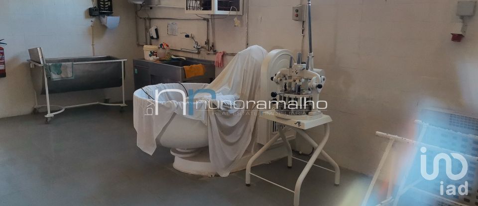 Boutique/Local commercial à Vilar Formoso de 252 m²