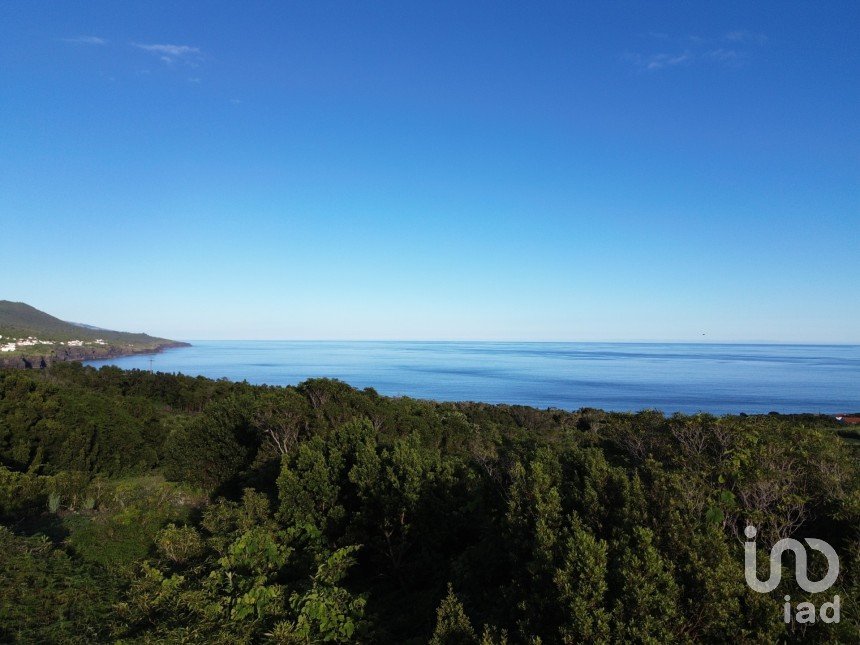 Maison traditionnelle T0 à São Caetano de 205 m²