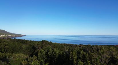 Maison traditionnelle T0 à São Caetano de 205 m²