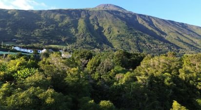 Maison traditionnelle T0 à São Caetano de 205 m²