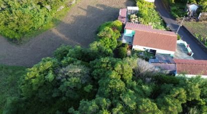 Maison traditionnelle T0 à São Caetano de 205 m²