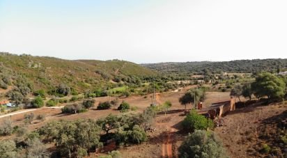 Terrain à bâtir à Mexilhoeira Grande de 195 520 m²