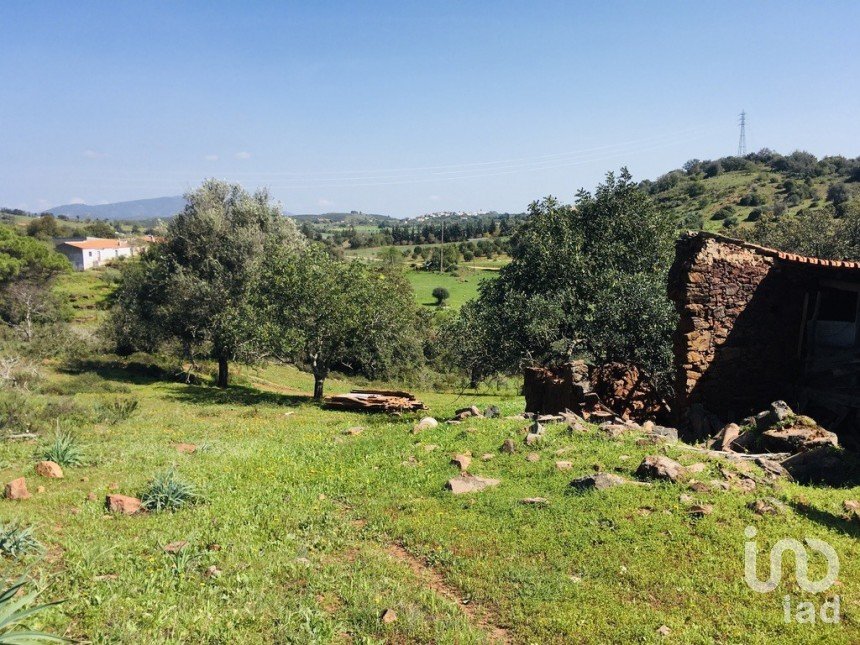 Terrain à bâtir à Mexilhoeira Grande de 195 520 m²