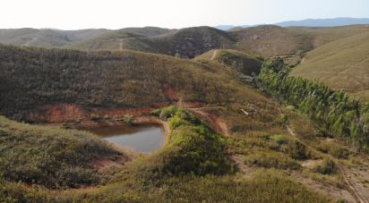 Terrain à bâtir à Mexilhoeira Grande de 195 520 m²