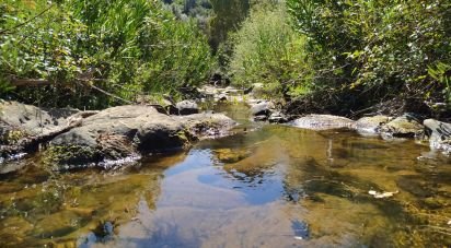 Terrain à bâtir à Mexilhoeira Grande de 195 520 m²