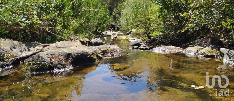 Terrain à bâtir à Mexilhoeira Grande de 195 520 m²