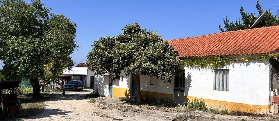 Casa tradicional T3 em Azoia de Cima e Tremês de 302 m²