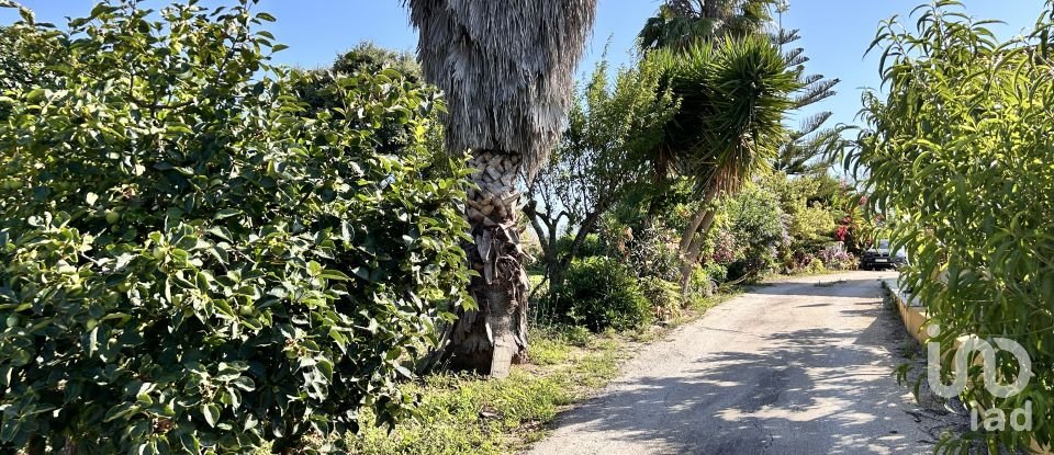Casa tradicional T3 em Azoia de Cima e Tremês de 302 m²