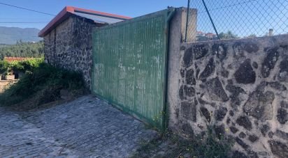 Terrain à Serrazes de 1 000 m²