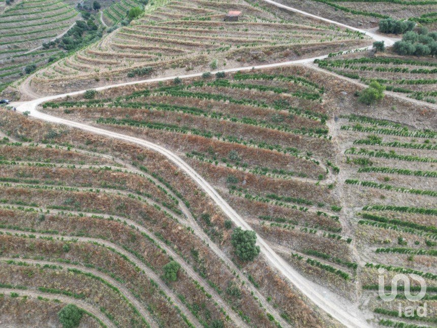 Domaine T0 à Ervedosa do Douro de 120 000 m²