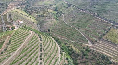Domaine T0 à Ervedosa do Douro de 120 000 m²