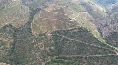 Domaine T0 à Ervedosa do Douro de 120 000 m²