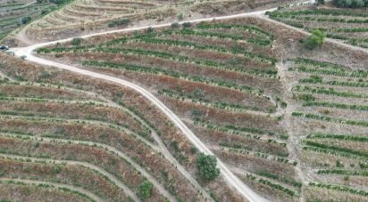 Domaine T0 à Ervedosa do Douro de 120 000 m²
