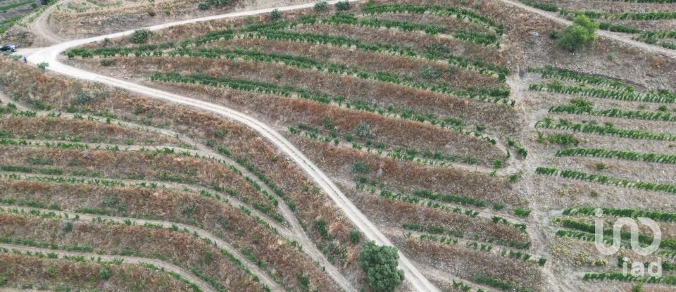 Domaine T0 à Ervedosa do Douro de 120 000 m²