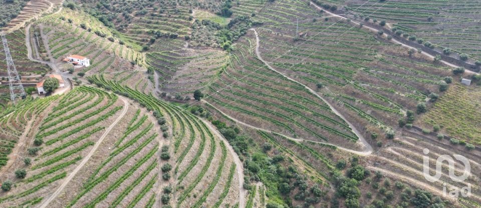 Domaine T0 à Ervedosa do Douro de 120 000 m²