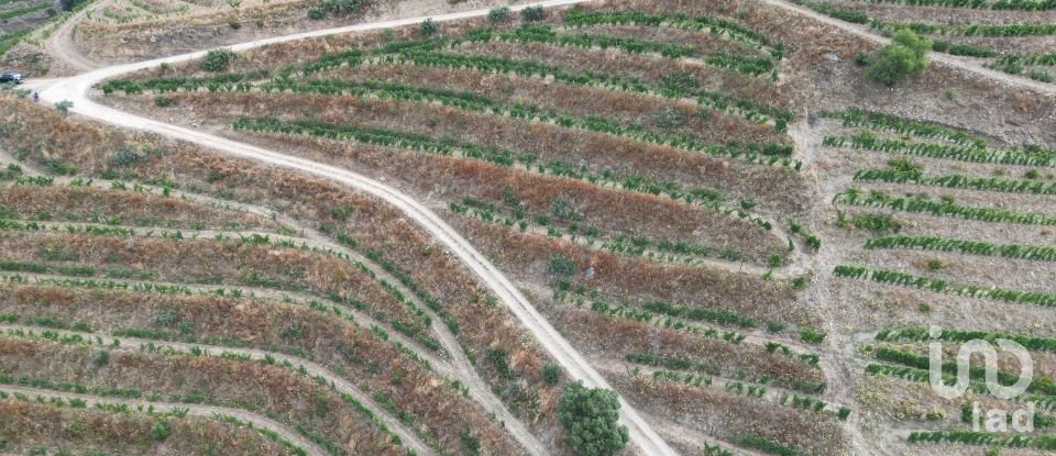 Domaine T0 à Ervedosa do Douro de 120 000 m²
