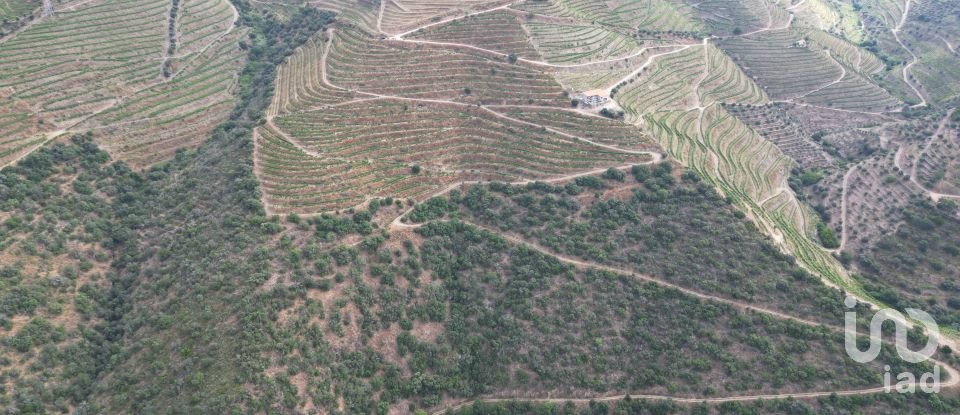 Domaine T0 à Ervedosa do Douro de 120 000 m²