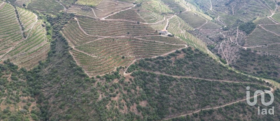 Domaine T0 à Ervedosa do Douro de 120 000 m²