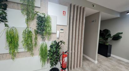 Offices in Santo António of 65 m²