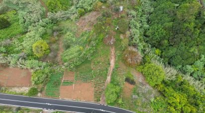 Terrain à Arco de São Jorge de 6 820 m²