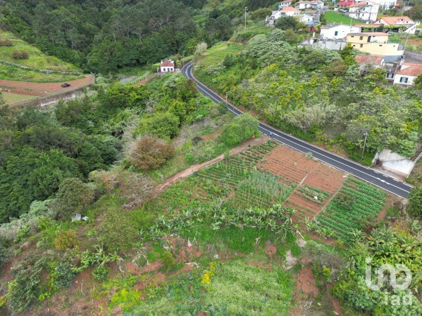 Land in Arco de São Jorge of 6,820 m²