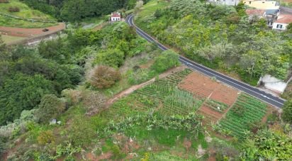 Terrain à Arco de São Jorge de 6 820 m²