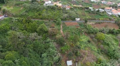 Terrain à Arco de São Jorge de 6 820 m²