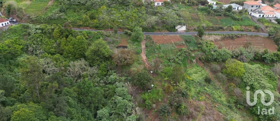 Land in Arco de São Jorge of 6,820 m²