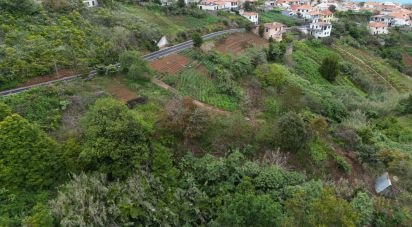 Terrain à Arco de São Jorge de 6 820 m²