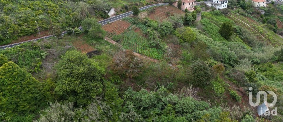 Land in Arco de São Jorge of 6,820 m²