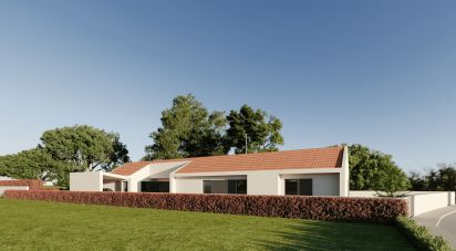 Gîte T3 à Oiã de 225 m²