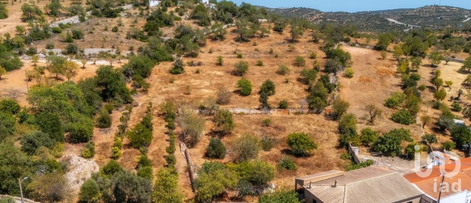 Terreno urbano em Paderne de 32 240 m²