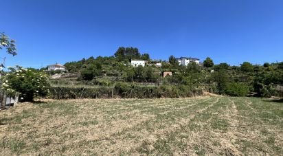 Terrain à bâtir à Gouviães e Ucanha de 5 530 m²